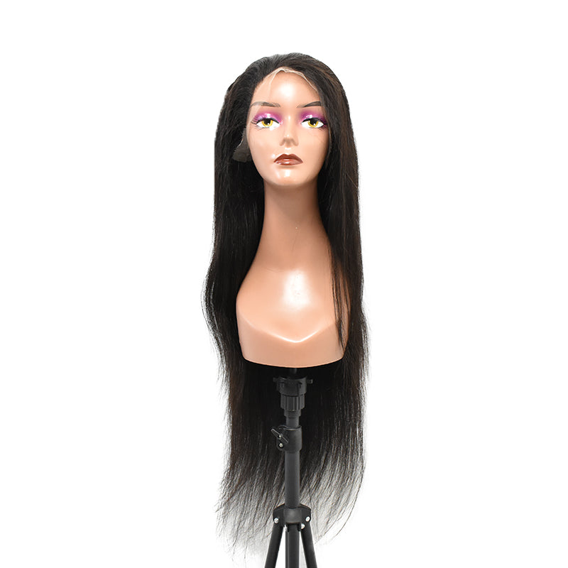 HiArt Hair Virgin Straight Human Hair 13x4 HD Lace Wig Fast Shipping