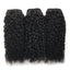 HiArt Hair Virgin Cambodia Curl Hair Weaving Human Hair Bundles Fast Shipping