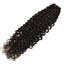 HiArt Hair Virgin Indian Raw Curly Hair Weaving Human Hair Bundles Fast Shipping